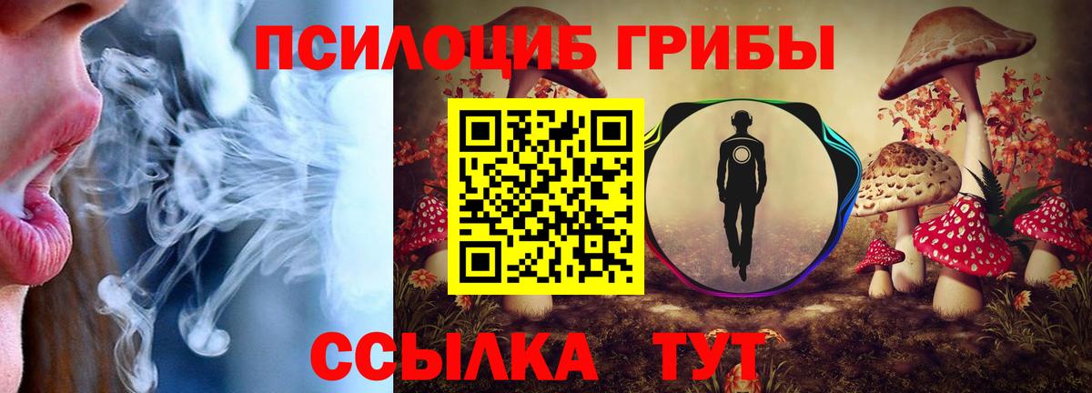 Ростов-на-Дону  Псилоцибиновые грибы MAGIC MUSHROOMS  Вход с VPN 